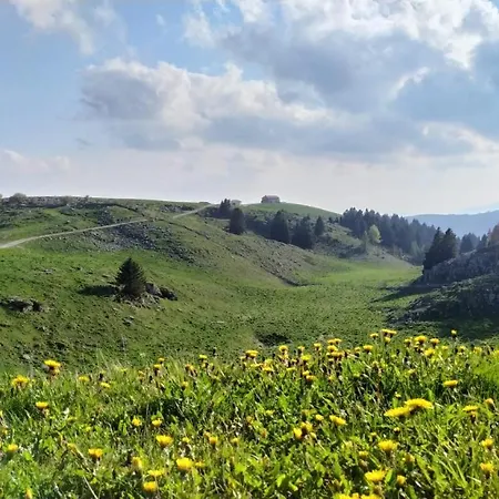 펜션 Casa In Montagna - Baita In Lessinia 보스코 키에사누오바